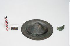 Foto von Bronzephalere (NHMW-PRAE-025544a)